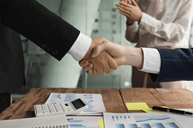 Our Specialized and Advisory Services