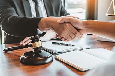 2. Public-Private Partnerships (PPP)