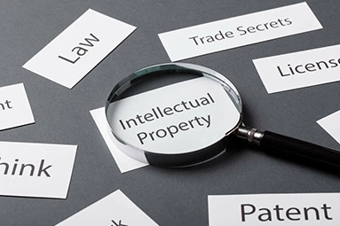 Technology and Cyber Law Services​