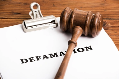 Privacy, Data Protection, and Surveillance Issues